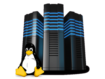 تصميم موقع ويب احترافي ميرال لخدمات التصميم والبرمجة والاستضافة